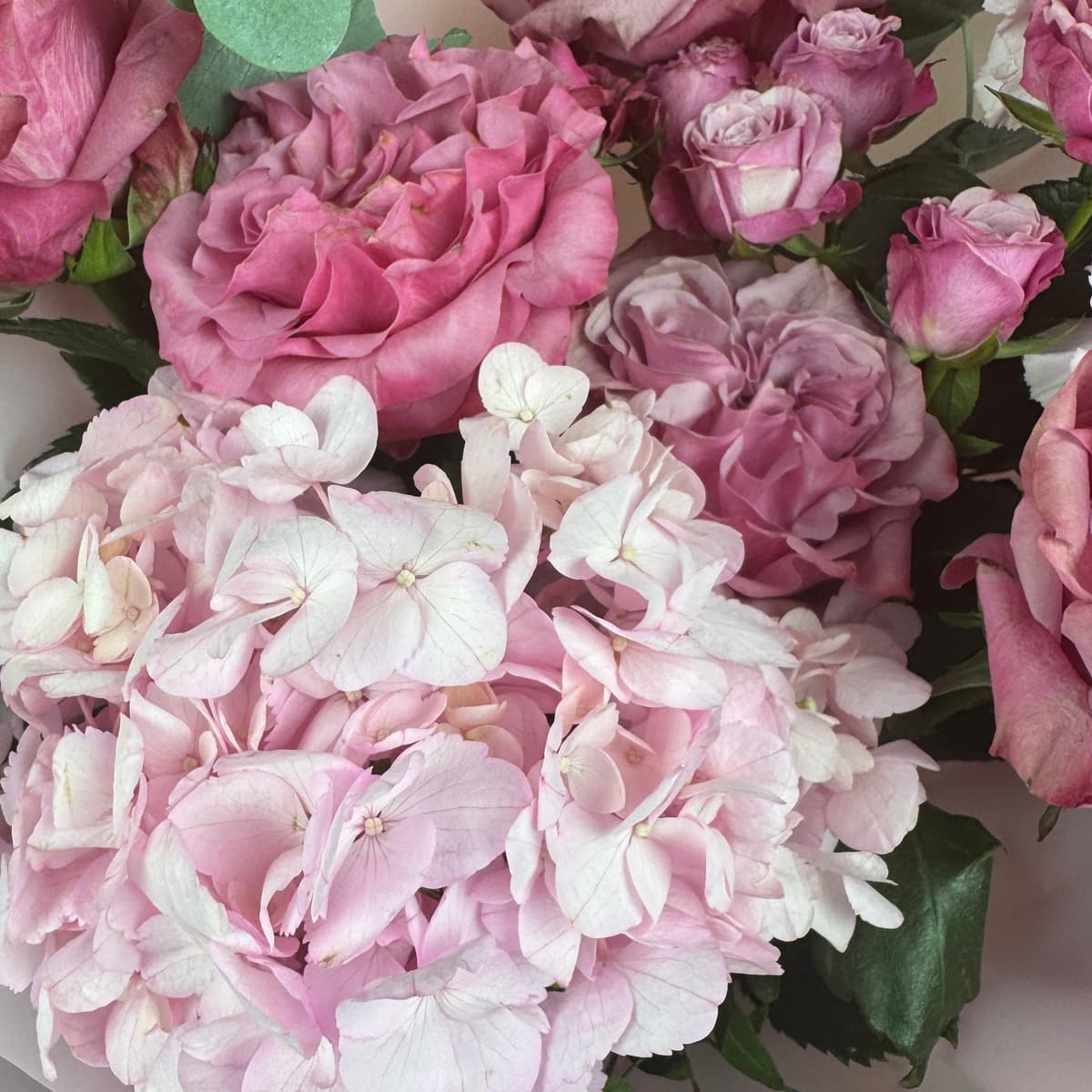 Flora Global